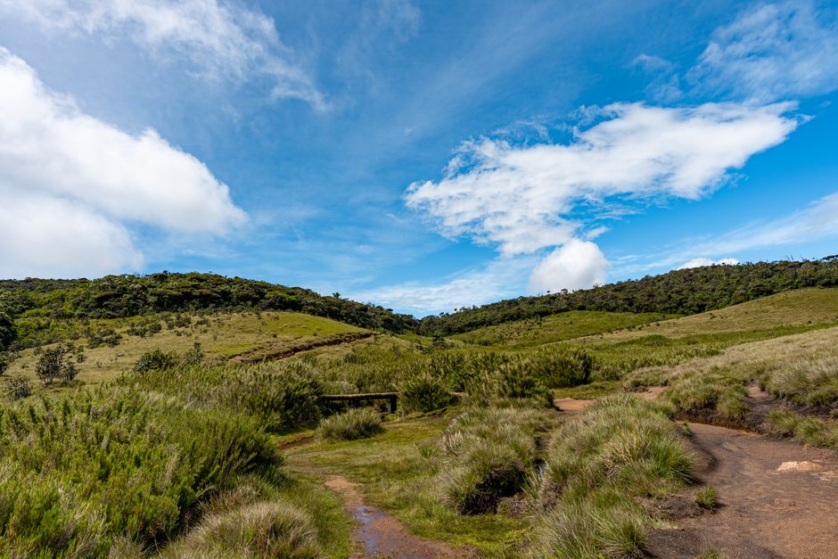 Horton Plains National Park