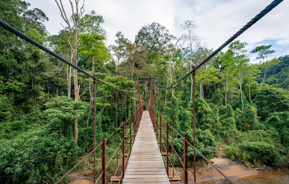 Sinharaja Forest Reserve