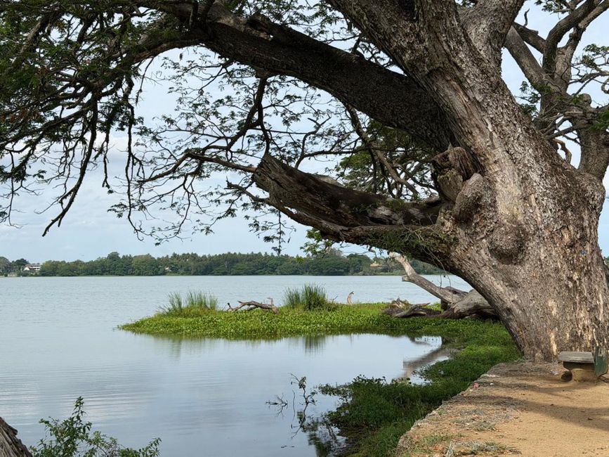 Tissamaharama