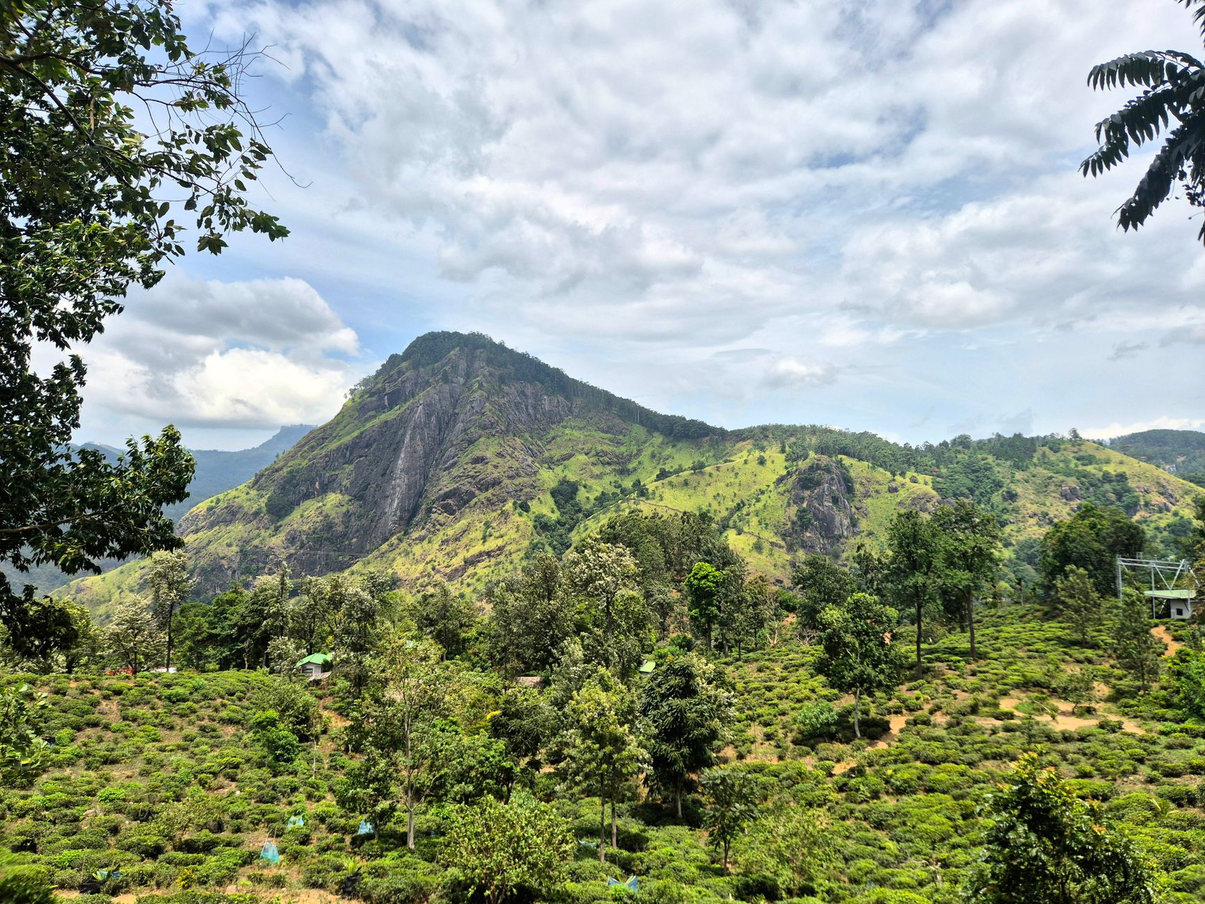 Ella Drop: From Kandy via Nuwara Eliya